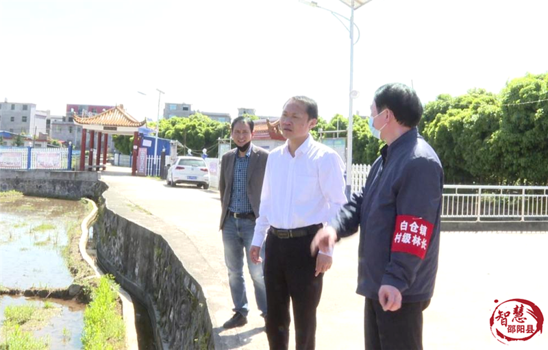 周玉祥到白仓镇调研督导乡村振兴工作_邵阳头条网