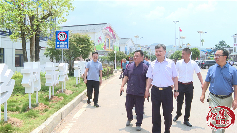 省政协到邵阳县调研乡村振兴工作_邵阳头条网