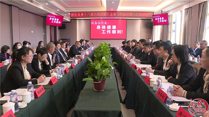 人大代表热议邵阳县人大常委会和“两院”工作报告_邵阳头条网