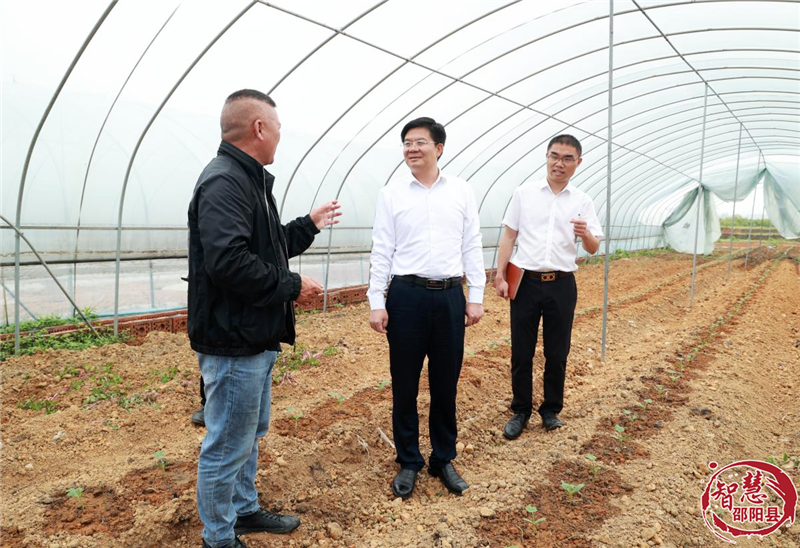 袁胜良在九公桥镇金盆村调研党建引领基层治理等工作_邵阳头条网
