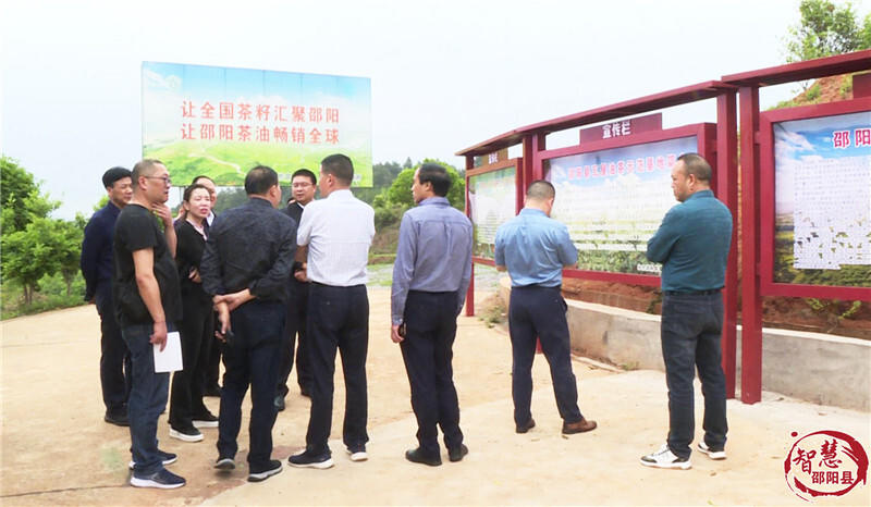 怀化市林业局来邵阳县考察交流油茶产业发展_邵阳头条网