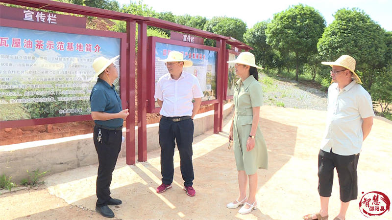 城步邵阳县政协到邵阳县考察油茶产业发展_邵阳头条网