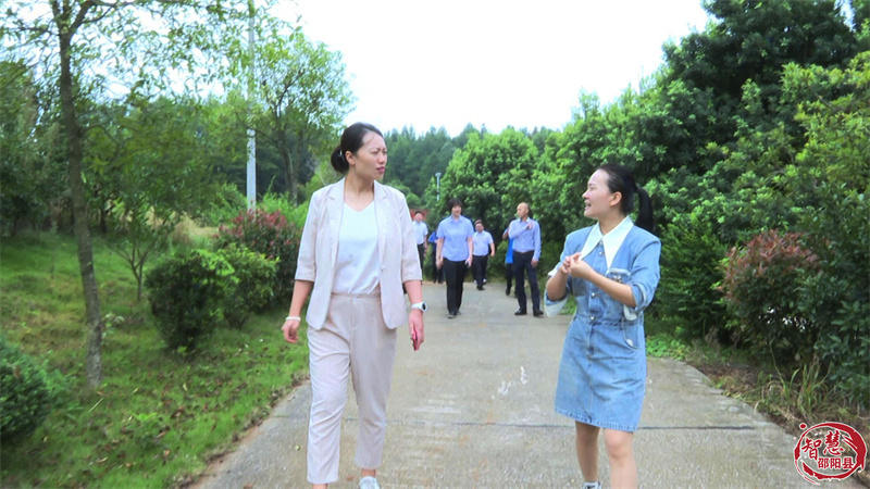 团中央中创会来邵阳县调研_邵阳头条网
