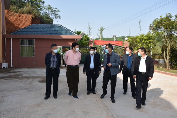 省政协秘书长卿渐伟到邵阳县九公桥区域性敬老院检查指导特困人员救助供养工作(图1)