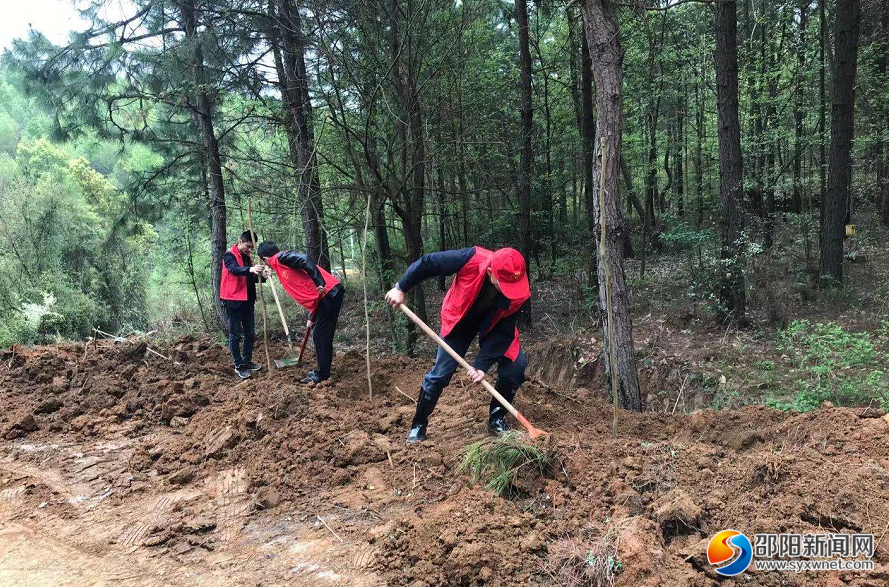 邵阳县科工信局组织志愿者开展义务植树活动(图1)