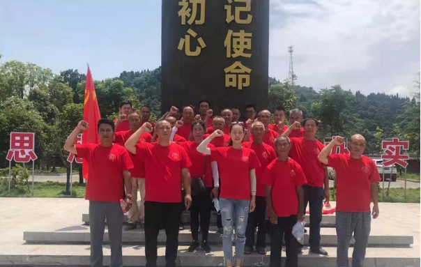 邵阳县塘渡口镇坪田村开展党史学习教育专题学习(图1)