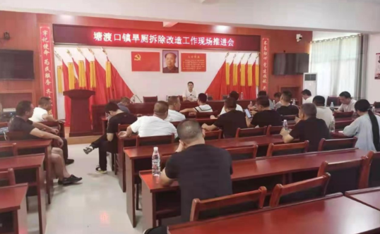 邵阳县塘渡口镇：旱厕拆除力度大 乡村旧貌换新颜(图1)