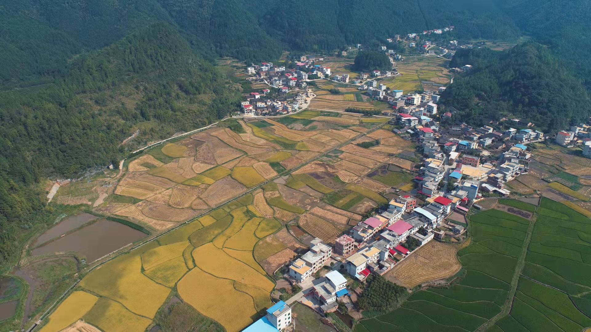 邵阳县住建局（人防办）接续奋斗 乡村振兴谱新篇(图1)