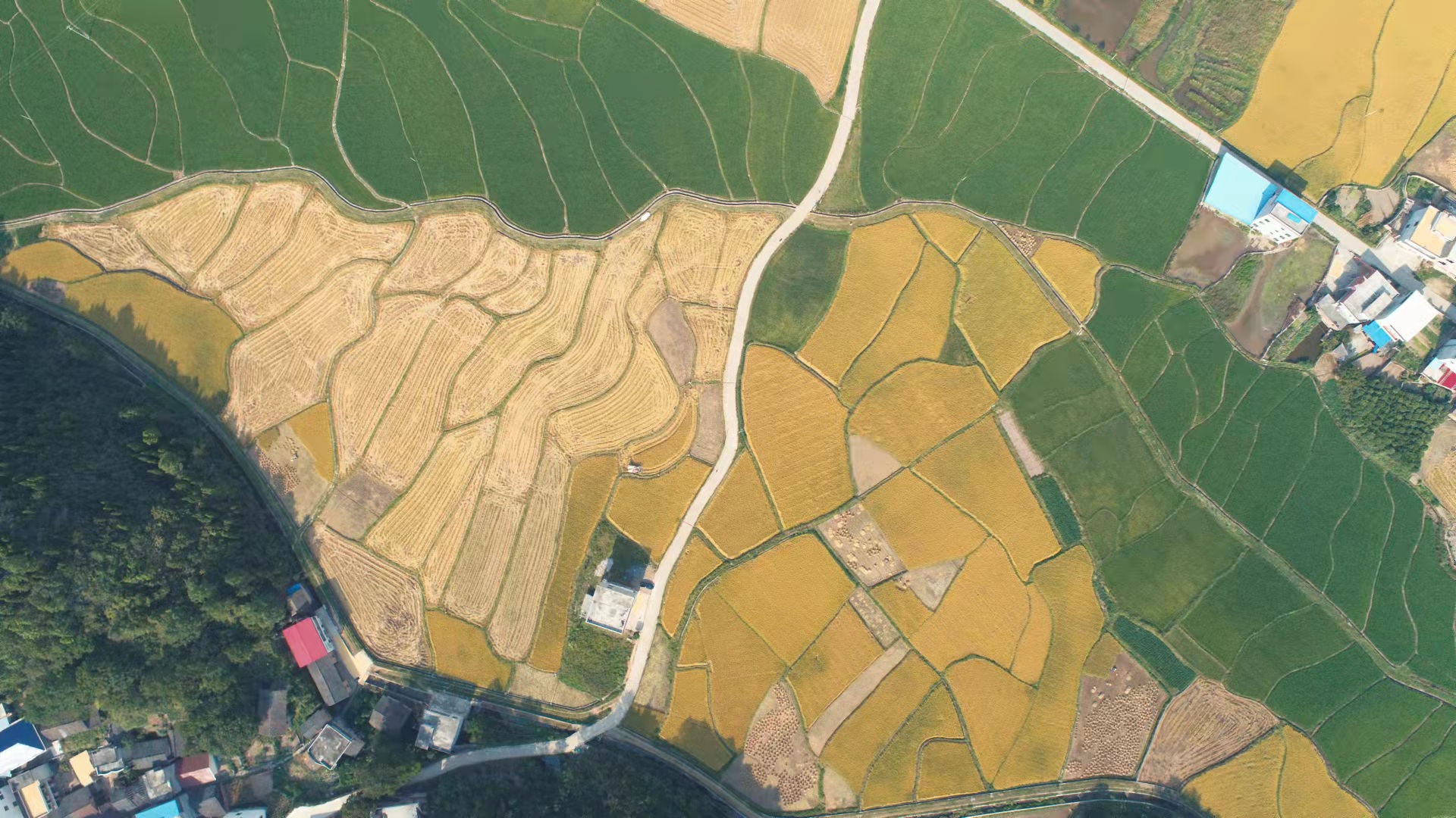邵阳县住建局（人防办）接续奋斗 乡村振兴谱新篇(图2)