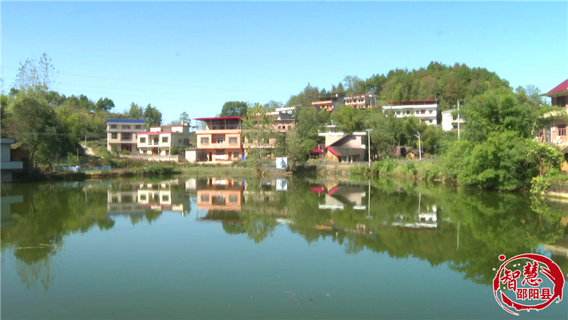 邵阳县郦家坪镇九塘村： 荒山种“玉 ” 振兴有路(图1)