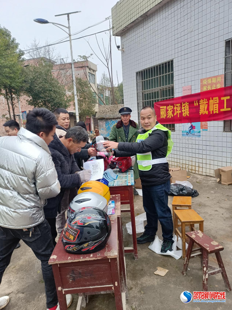 邵阳县郦家坪镇进学校开展“戴帽工程”集中行动(图2)
