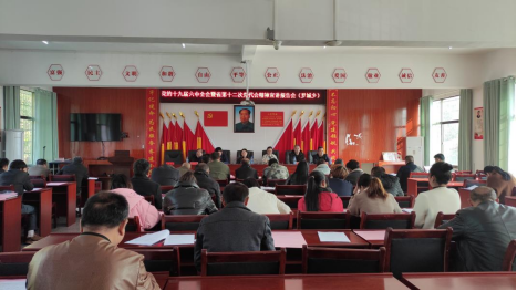 尹青在邵阳县罗城乡宣讲党的十九届六中全会、湖南省第十二次党代会精神(图1)
