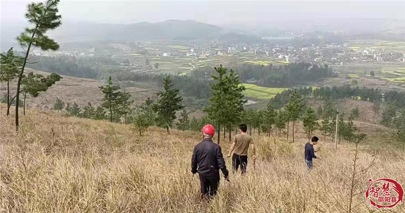 邵阳县小溪市乡：扎牢清明森林防火“篱笆墙”(图1)