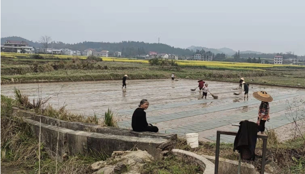 邵阳县小溪市乡：扎实推进春耕备耕(图1)