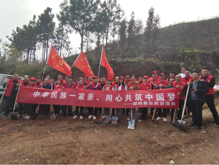 邵阳县自然资源局开展学雷锋志愿植树活动(图2)