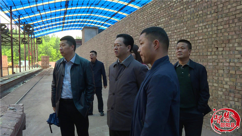 袁玉华实地督导环保问题整改工作(图2)
