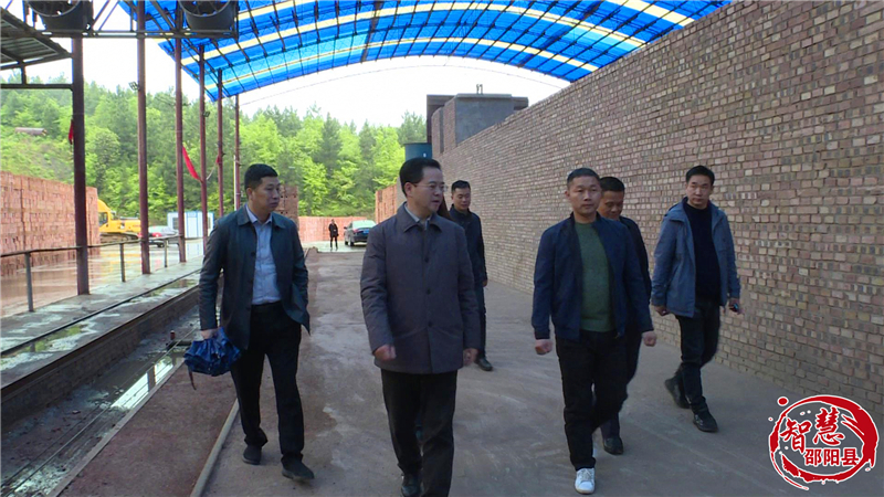 袁玉华实地督导环保问题整改工作(图1)
