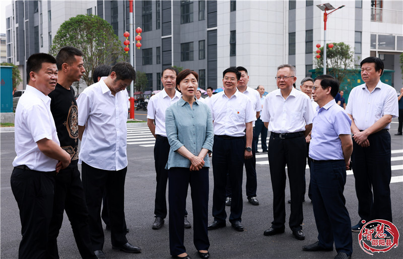 李微微到邵阳县指导党史学习教育工作并参加省人大代表小组活动(图1)