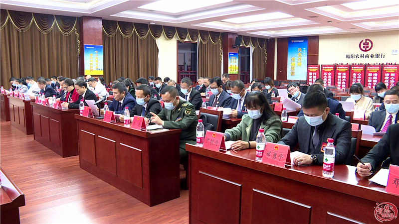 邵阳县第十八届人民代表大会第一次会议召开主席团第四次会议(图2)
