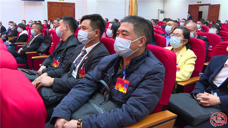 邵阳县委召开“两会”中共党员会议(图4)