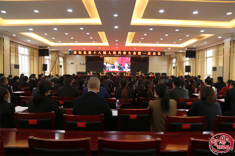 邵阳县第十八届人民代表大会第一次会议开幕(图7)