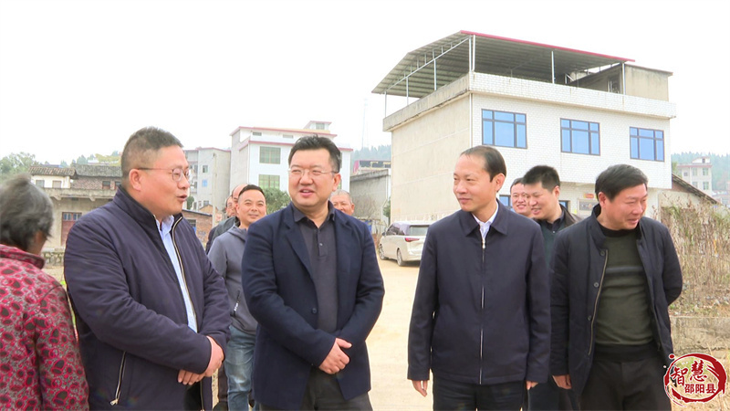 省烟草公司赴邵阳县调研指导烟叶生产工作(图1)