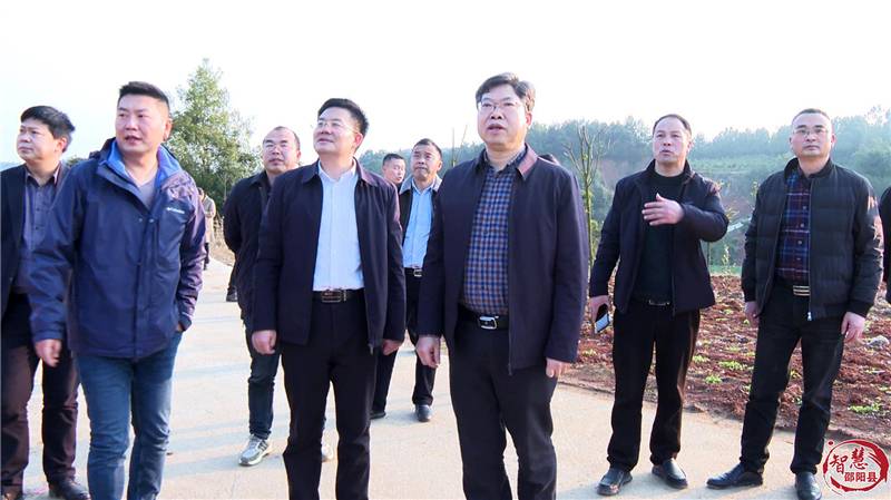 曾市南到邵阳县调研督导生态环境问题整治工作(图1)