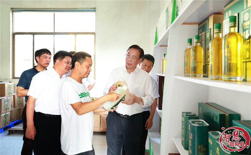 王志群率队到邵阳县调研油茶产业(图2)