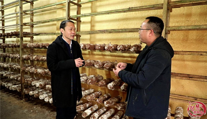 周玉祥深入白仓镇调研督导春耕备耕、粮食生产工作(图2)