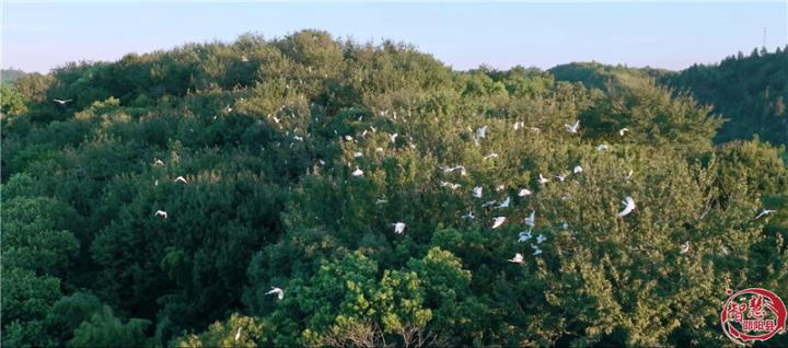 邵阳县开展第27个“世界湿地日”主题宣传活动(图8)
