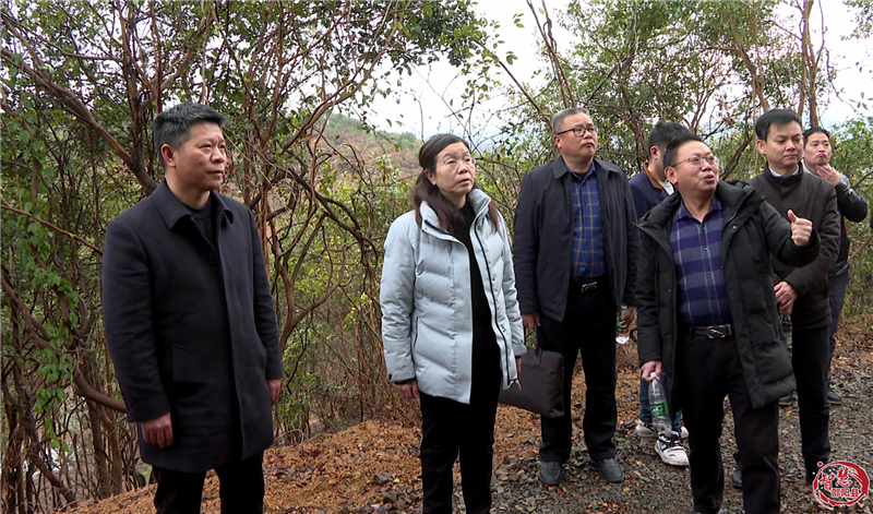中南林业科技大学专家团来邵阳县考察油茶生产机械化(图4)