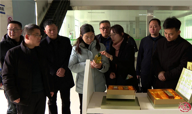 中南林业科技大学专家团来邵阳县考察油茶生产机械化(图5)