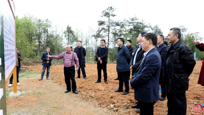 省林业局二级巡视员欧阳叙回一行到邵阳县调研油茶产业(图4)