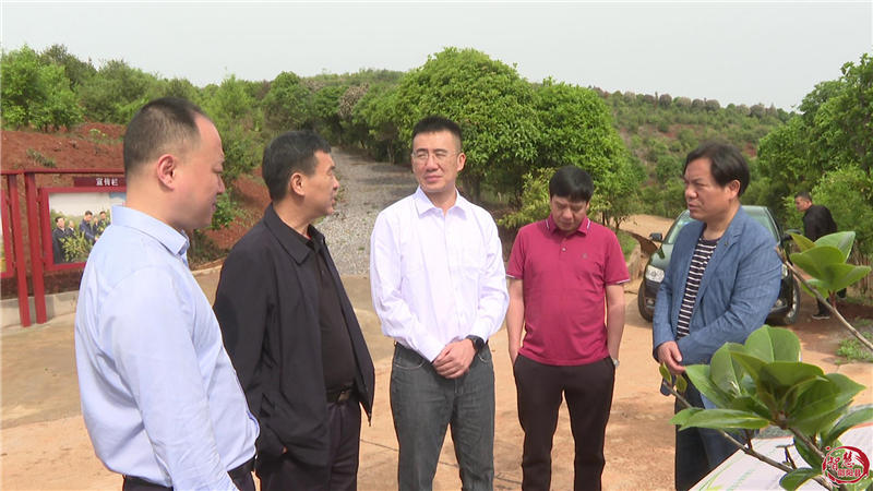 广西三江侗族自治县来邵阳县考察油茶产业(图1)