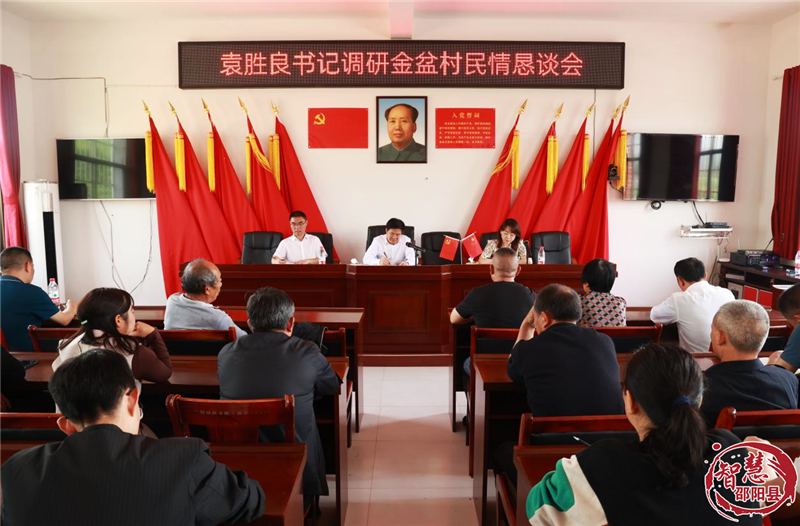 袁胜良在九公桥镇金盆村调研党建引领基层治理等工作(图2)