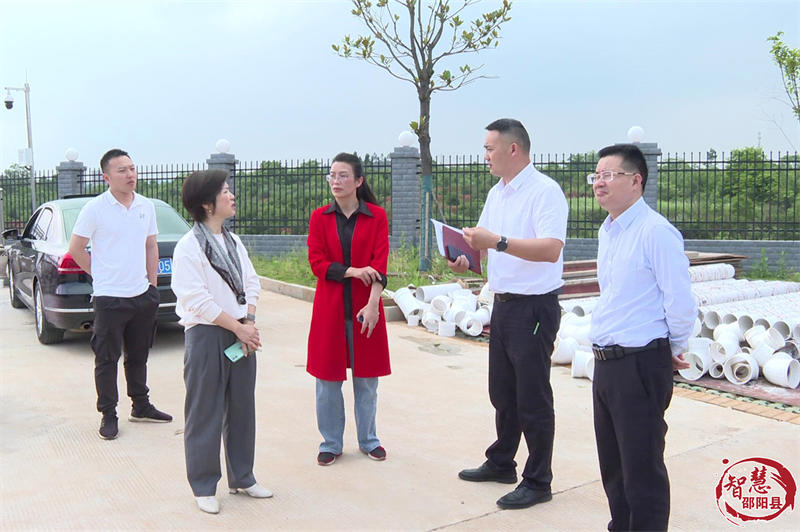 段雪梅到邵阳县开展农村生活污水治理专项民主监督(图3)