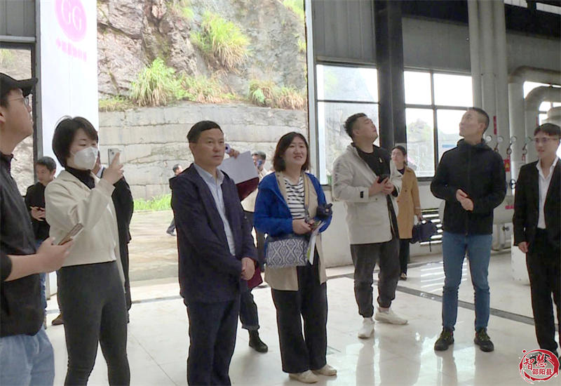 抖音集团来邵阳县考察调研油茶产业(图2)