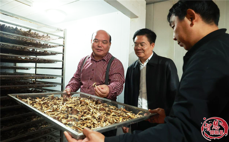 袁胜良调研金称市镇农业农村工作(图2)