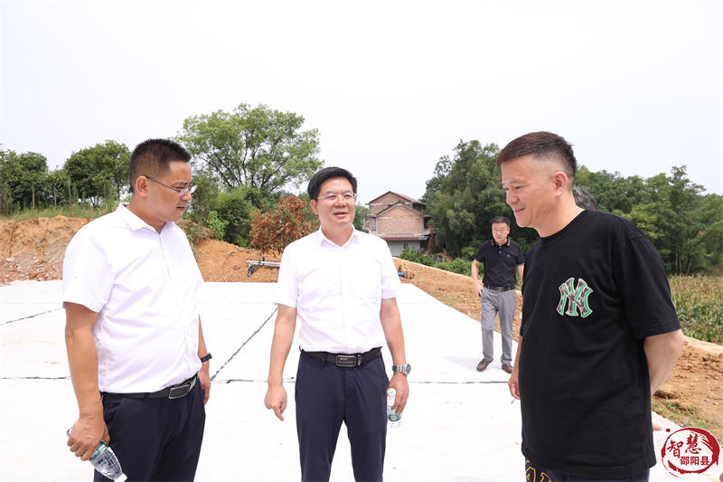 袁胜良在谷洲镇调研乡村振兴、耕地保护等工作(图1)