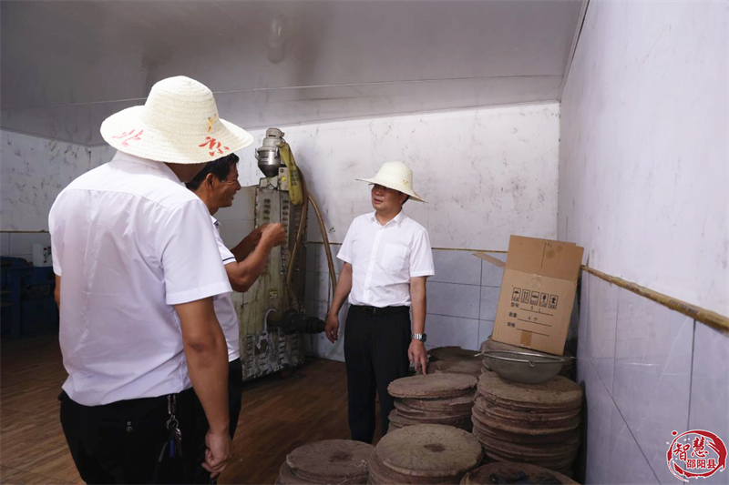 袁胜良在谷洲镇调研乡村振兴、耕地保护等工作(图2)