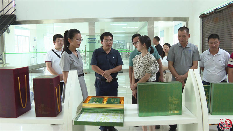 广西德宝县政协到邵阳县考察调研油茶产业(图4)