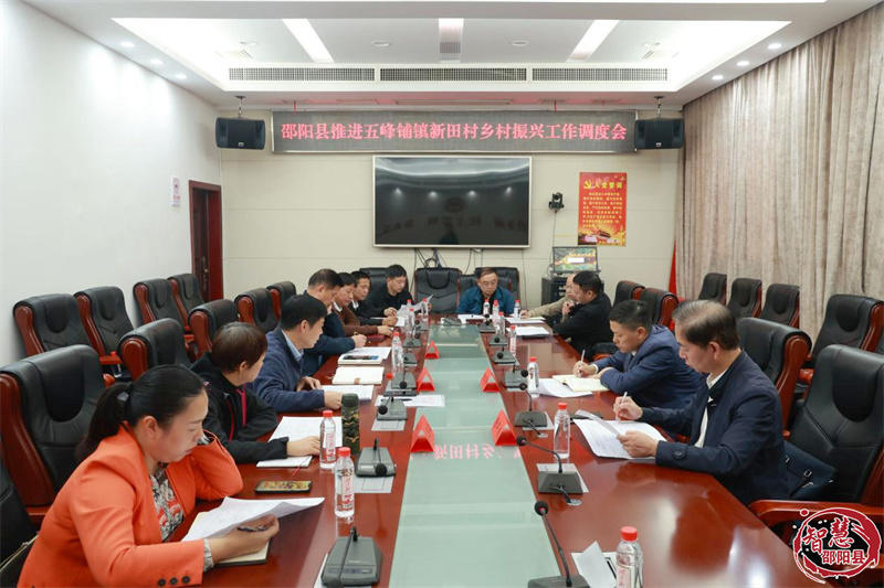 邵阳县召开推进五峰铺镇新田村乡村振兴工作会(图1)
