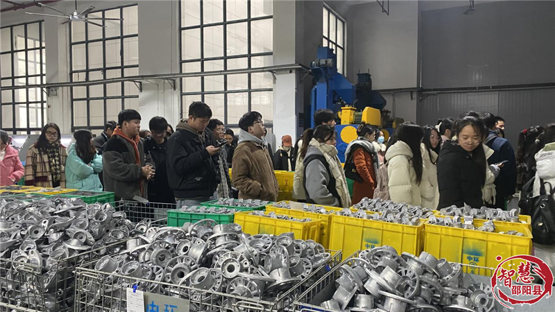 邵阳县开展返乡大学生“亲眼看家乡·青春报家乡”活动(图2)