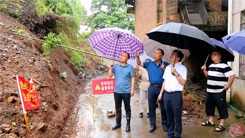 全力确保安全度汛袁胜良部署防汛备汛 和地质灾害防治工作(图1)
