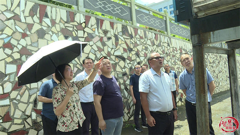 市人大到邵阳县开展大气污染防治执法检查(图3)