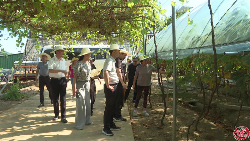 省政协文教卫体和文史委员会来邵阳县调研(图2)