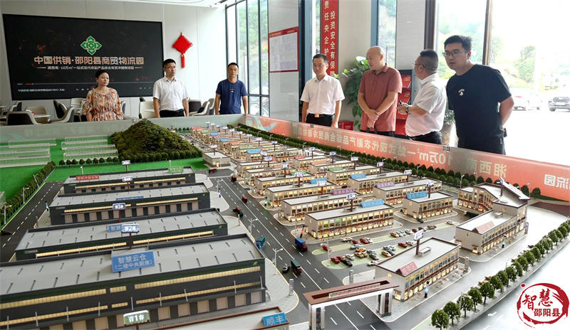 市“两重”“两新”送解优专项行动第六组到邵阳县调研(图2)