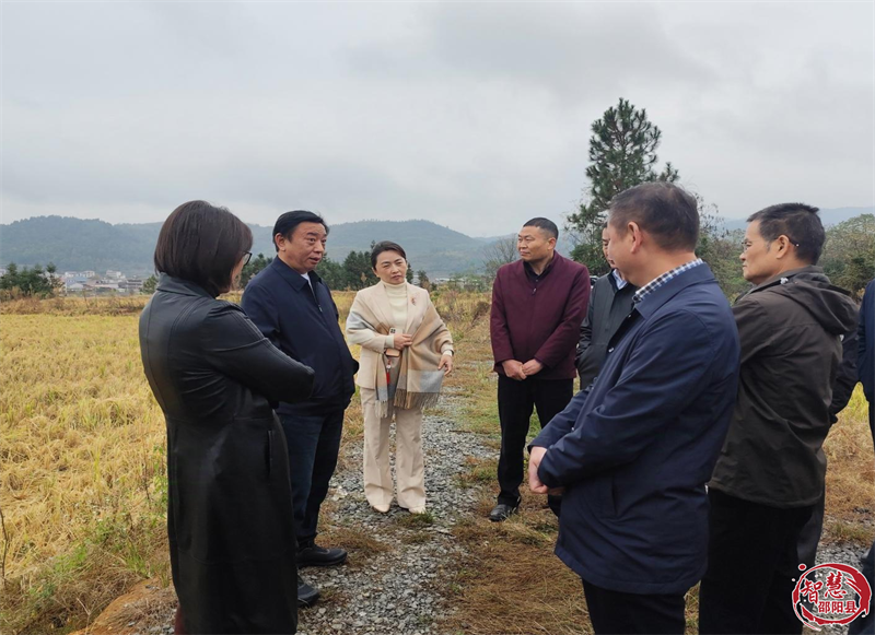 市人大到邵阳县开展耕地保护和老旧小区改造情况专题调研(图1)